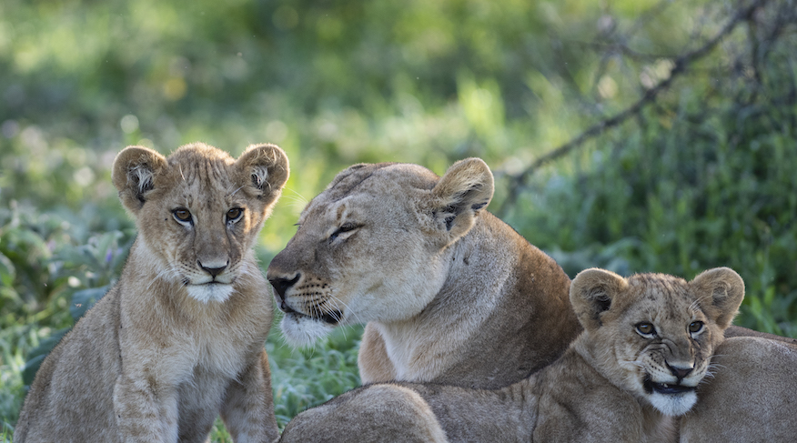 Big Five