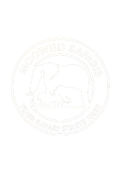 MoowildSafaris Logo